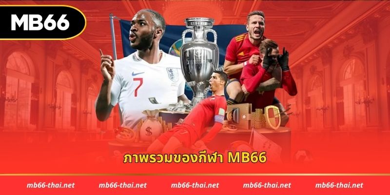 ภาพรวมของกีฬา mb66