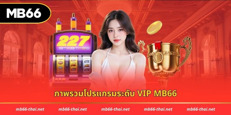 ภาพรวมโปรแกรมระดับ VIP MB66