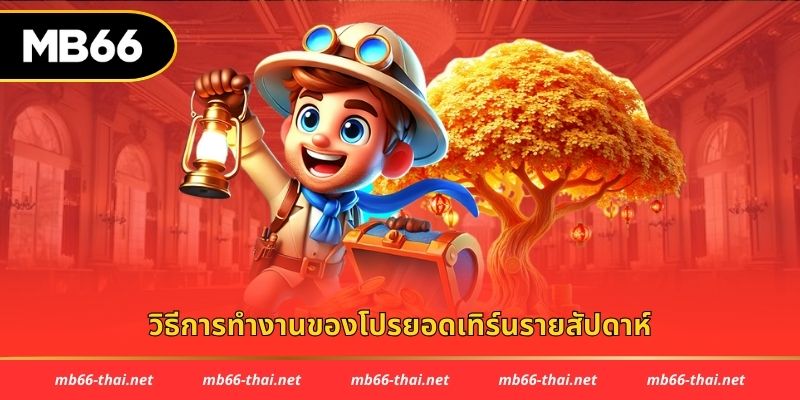 วิธีการทำงานของโปรยอดเทิร์นรายสัปดาห์